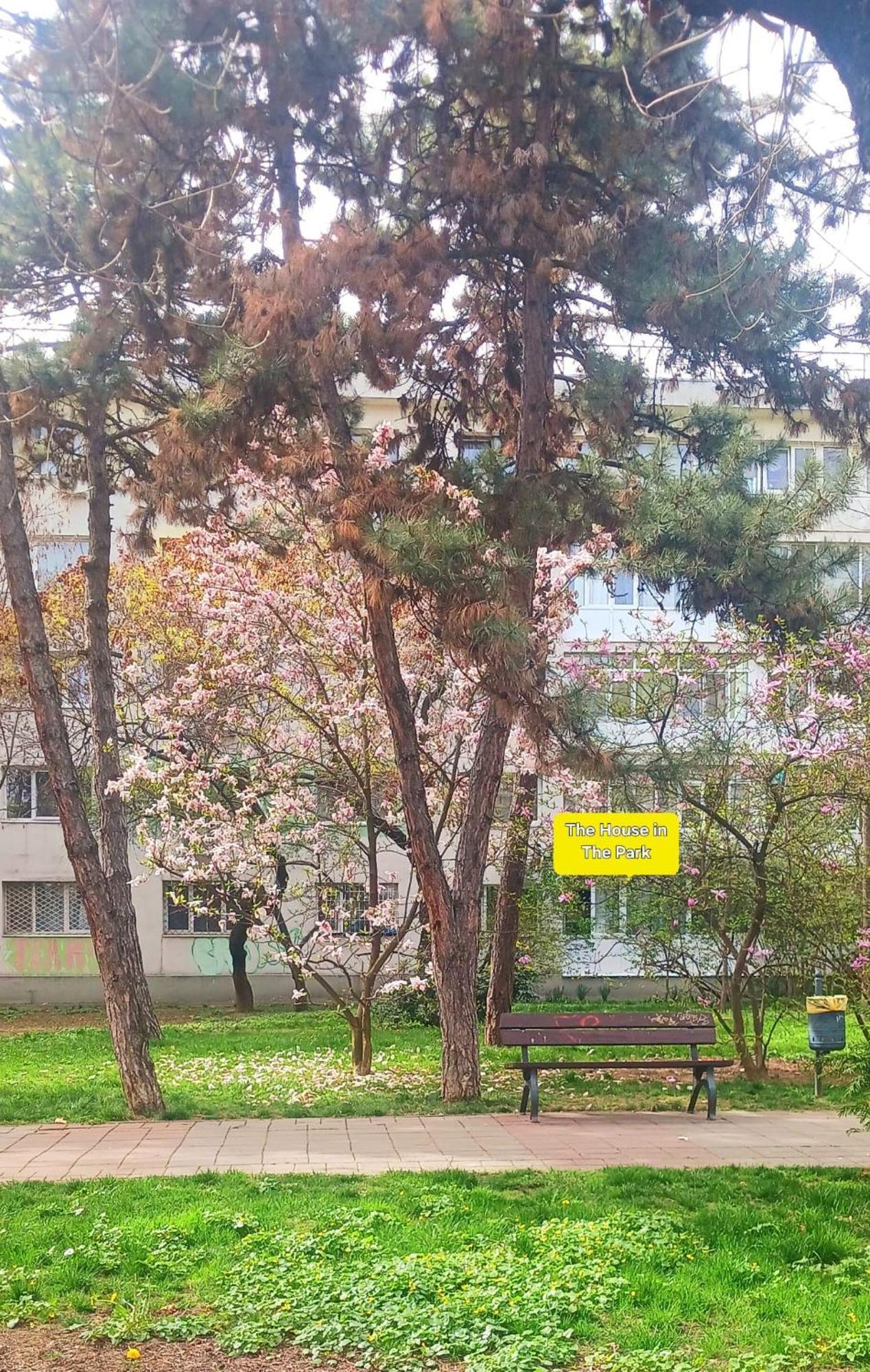 The House In The Park Bucharest Apartment Exterior photo